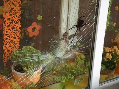 broken Spider Web Glass